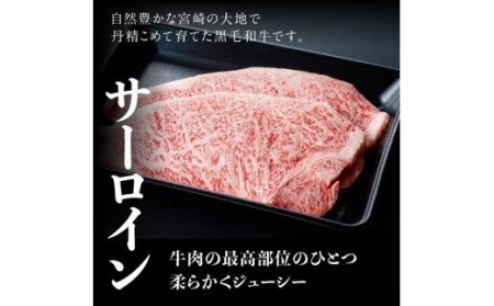 宮崎県産黒毛和牛 牛肉 サーロインステーキ 400g 肉 牛肉  牛 国産牛肉 牛 九州産牛 牛 和牛 ステーキ 牛肉 送料無料牛肉 牛