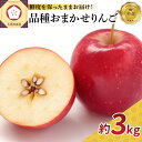 【ふるさと納税】【発送時期が選べる】 特撰 丸かじり 青森 りんご 3kg 程度 品種 おまかせ 1種 スマートフレッシュ 貯蔵 または CA貯蔵 青森県 津軽地方 五所川原市産 林檎 人気 果物 フルーツ