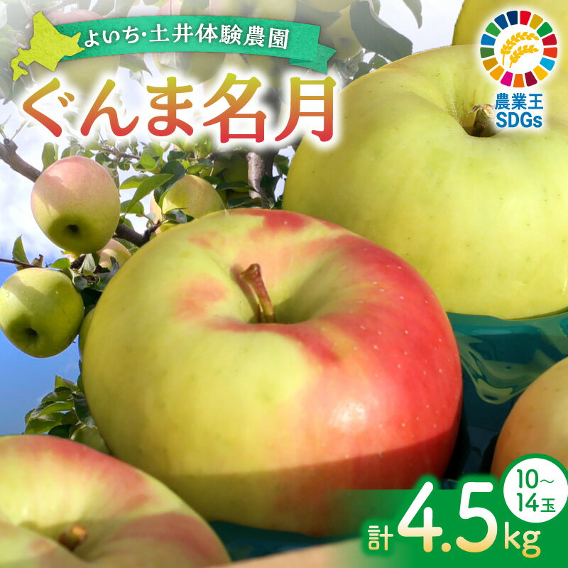 【ふるさと納税】【先行予約：2026年11月上旬以降発送】極上の甘さ！余市産りんご ぐんま名月4.5kg 黄色い蜜りんご 希少品種 完熟りんご 低農薬りんご 土井体験農園 先行予約 極上の甘さ まろやかな甘み 蜜たっぷり 黄色品種 北海道りんご 余市特産 北海道 余市町 送料無料