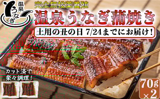 
【まだ間に合う 土用の丑 7/24(水)までにお届け 】 完全無投薬養殖 国産 温泉うなぎ蒲焼 (カット) 70g×2＜104-057_5＞
