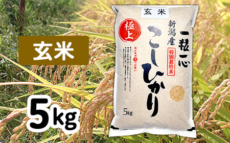 48-6G051【玄米】新潟県長岡産特別栽培米コシヒカリ5kg