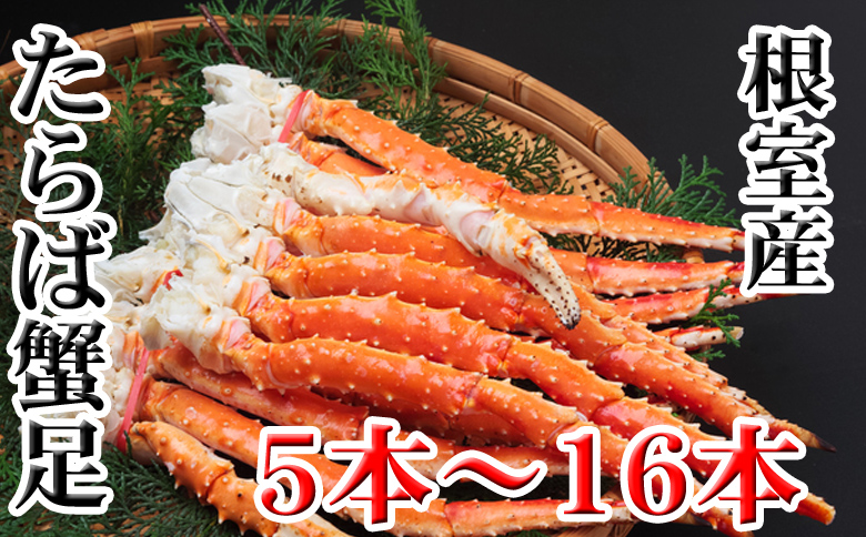 【北海道根室産】ボイルたらば蟹足12～16本(計1～1.2kg) C-70077