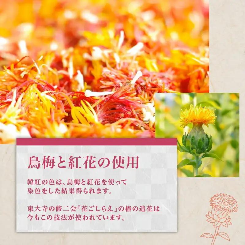 烏梅紅花染め体験 生地染めコース 70-003