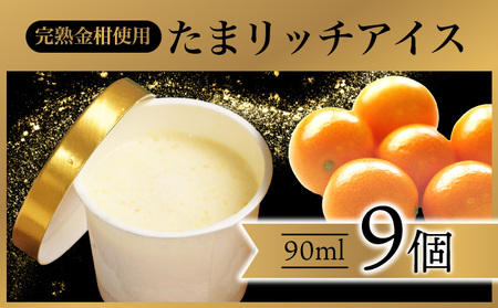 AQ-A1 串間市産きんかんたまたま使用！たまリッチアイス詰合せ(9個)【たまたまクラブ】