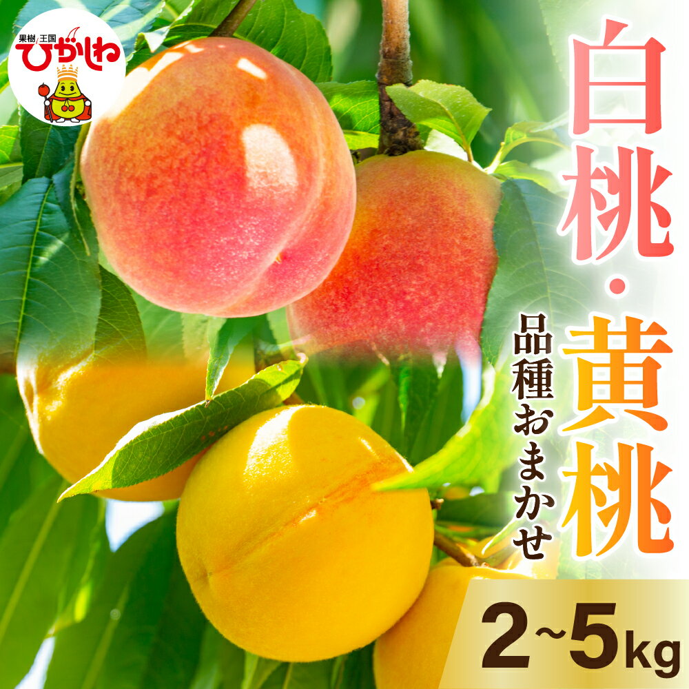 【ふるさと納税】 2025年産 白桃 黄桃 詰め合わせ 品種おまかせ ( 選べる内容量 2kg 3kg 5kg ) / 桃 もも モモ ピーチ フルーツ 果物 くだもの セット・詰め合わせ 箱入り 化粧箱 冷蔵配送 期間限定 先行予約 お取り寄せ 産地直送 東北 山形県 東根市
