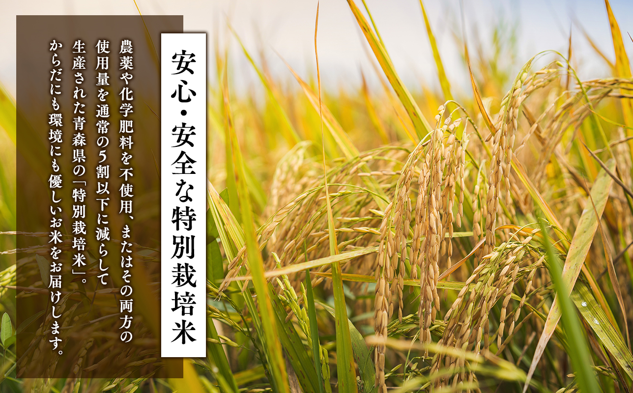 【寄附金額を見直しました】≪令和8年産 先行予約≫12月中旬よりお届け! 　【3カ月定期便】特別栽培米 はれわたり白米10kg(5㎏×2袋)×3回【青森県 平川市】先行予約 米 お米 玄米 青森県産 