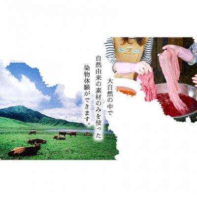 ふるさと納税 南阿蘇村 染物体験 (染めたいものを持参) 香房やまぶどう《30日以内に出荷予定(土日祝除く)》 |  | 01