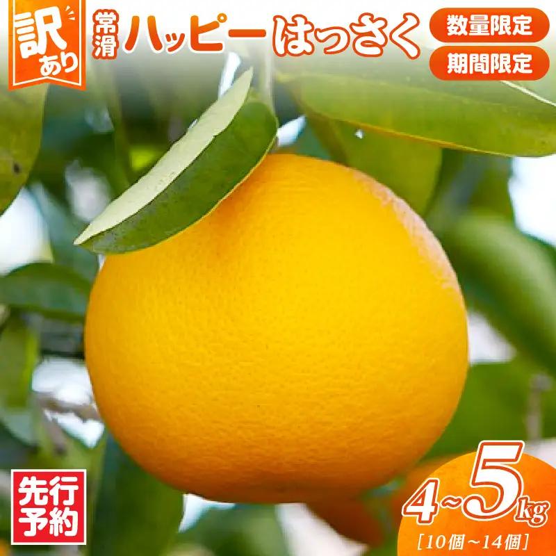 【先行予約】【訳あり】常滑ハッピーはっさく 4～5kg（10個～14個）｜ はっさく フルーツ常滑市