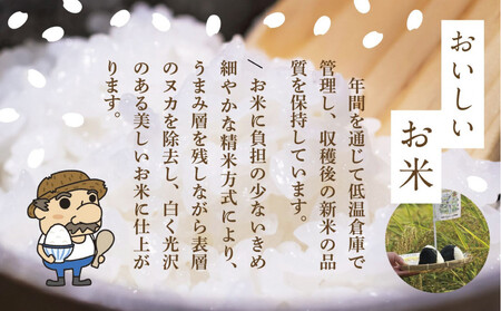 【令和７年産】佐渡島産 特別栽培米こしひかり「大野郷の米」精米5kg×6回 定期お届けコース