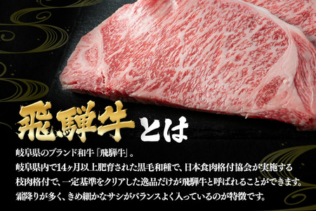 B-3　飛騨牛A5～4等級　サーロインステーキ　２枚（３６０ｇ）