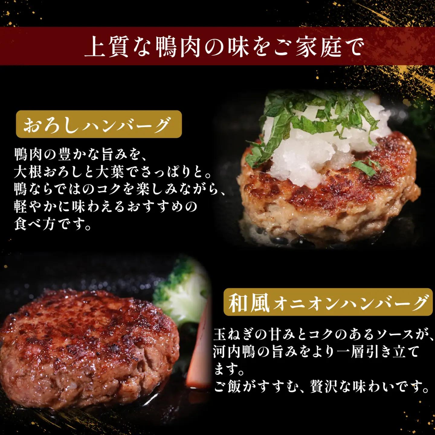 【河内鴨100％】 10個 鴨 ハンバーグ
