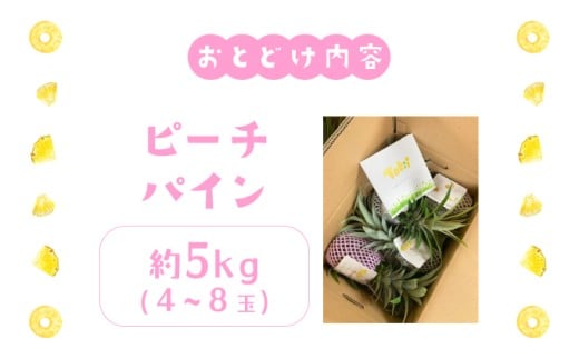 パイナップル ピーチパイン 約5kg 4～8玉 パイン 果物 フルーツ 沖縄 西表島【TOK:iふぁーむ】 配送不可：離島028-a005_2026 【約5kg 】4～8玉