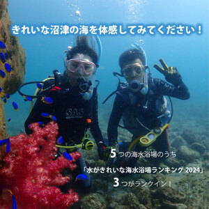 ファンダイビングチケット 大人1名 1日2ビーチ フルレンタル込み 伊豆半島 ダイビング