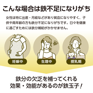 鉄分補給にオススメ！ 南部鉄器 鉄玉子 丸型3個セット [BE011]