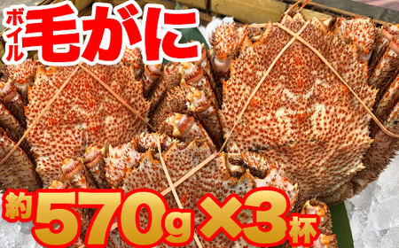 【訳あり】北海道産 冷凍ボイル毛がに（約570g×3杯）1.71kg かに 蟹 かにみそ 小分け 毛蟹 海産物 魚介類 水産物応援 水産物支援 年内発送  毛がに 毛ガニ 海の幸 カニ ガニ 魚介 海鮮 食品 北海道 南幌町 NP1-438