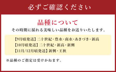 梨 9kg 【2024年9月上旬～12月下旬発送予定】 九州産