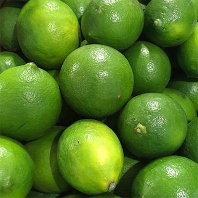 ふるさと納税 海南市 【産直】和歌山産グリーンレモン約3kg(サイズ混合)(海南市) |  | 02