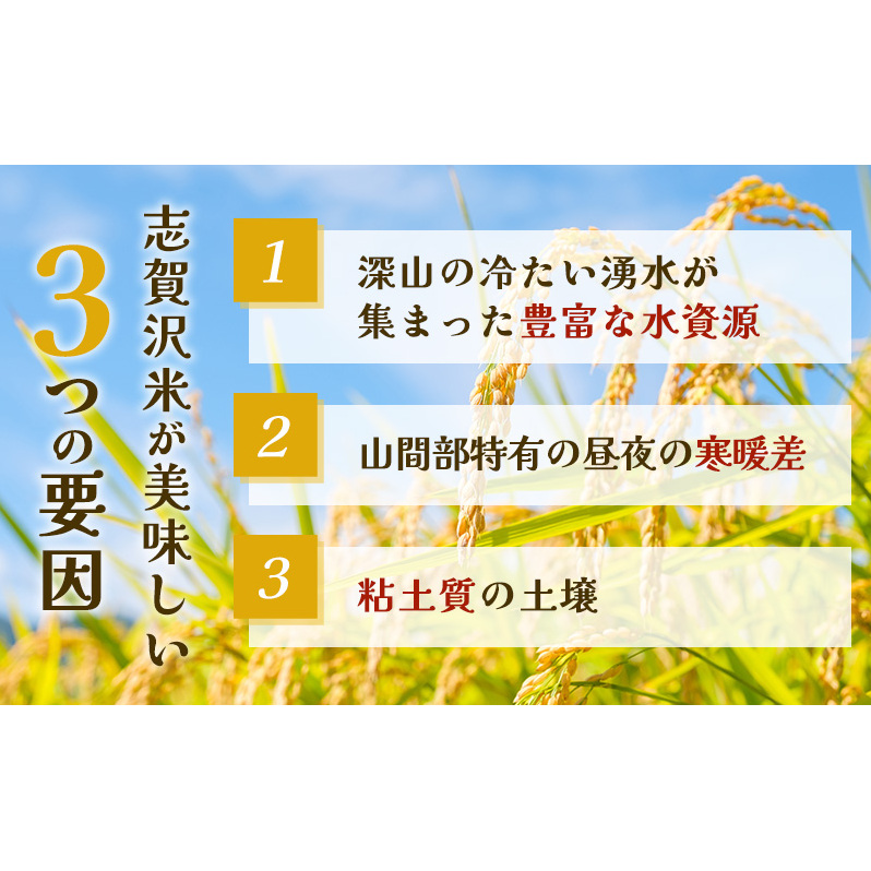 【令和7年産】レトルト だて正夢 志賀沢米レンジアップごはん20個セット 常温 常温保存 レトルト食品 パックご飯 パックごはん ごはん ご飯 宮城 岩沼_イメージ2