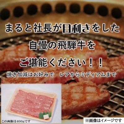 【飛騨牛】赤身焼肉用　300g×3p　(合計900g)【配送不可地域：離島】【1726923】