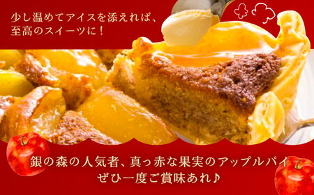 アップルパイと銀の森コーヒーセット / りんご リンゴ 林檎 アップルパイ あっぷるぱい コーヒー 珈琲 こーひー セット プレゼント 贈答 スイーツ 洋菓子 / 恵那市 / 銀の森 [AUBG020