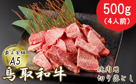 KA07：A5等級！鳥取和牛焼肉用切り落とし500g