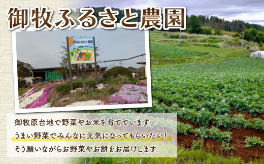 【先行受付2026年発送】東御市産白土馬鈴薯約10kg ※2026年8～12月お届け