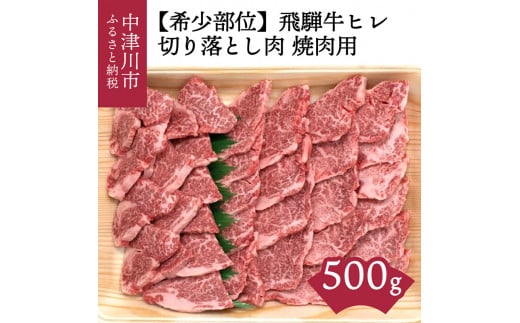 【希少部位】「肉の芸術品」飛騨牛ヒレ切り落とし肉焼肉用500g F4N-0620