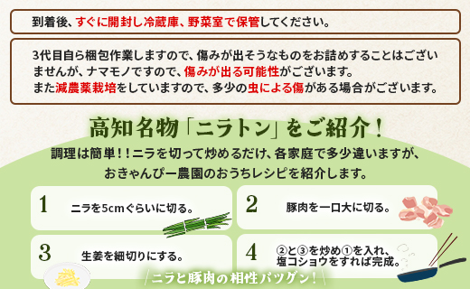 3ヶ月定期便 香南市産 ニラ 合計約3kg（1kg×3回） - にら 韮 生 野菜 やさい 香味野菜 葉物 新鮮 シャキシャキ食感 肉厚 にくあつ 料理 アレンジ 炒めもの 炒め物 煮物 鍋 なべ も