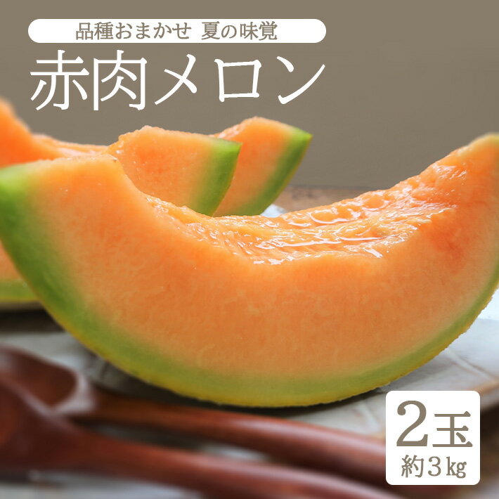 【ふるさと納税】赤肉メロン 品種おまかせ 2玉 約3kg 山形県酒田産 6月下旬〜7月下旬頃お届け ※着日指定不可 フルーツ 果物 夏 オレンジ 庄内砂丘 東北 山形県 酒田市
