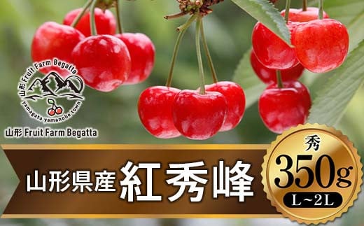 
《先行予約》2024年 山形県産 さくらんぼ 紅秀峰 バラ詰 350g 秀 L～2L サクランボ F21A-479
