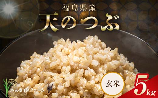 
                  〈先行予約〉令和8年産 農家直送 ベルライスファーム 天のつぶ 玄米 5kg F6U-486
                