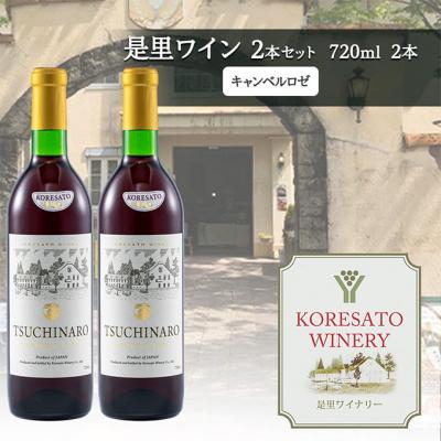 ふるさと納税 赤磐市 是里 ワイン 果実酒 キャンベル赤 720ml  2本[NO5765-1260]