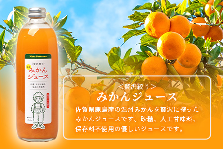 100% 生搾り ストレートジュース 温州みかん 不知火 みかんジュース　500ml×合計4本 セット（ みかんジュース と みかんと不知火ブレンドジュース 各2本 ） 佐賀県 鹿島市 B-541