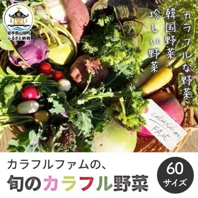 ふるさと納税 山田町 【数量限定】三陸山田産 カラフル 野菜 詰め合わせ 令和8年5月中旬以降発送 60サイズ