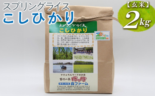 
                  【新米】スプリングライス こしひかり (玄米)2kg ※着日指定不可 | 米 こめ コメ 2キロ 玄米 こしひかり コシヒカリ 古河市産 茨城県産 取り寄せ お取り寄せ ギフト 贈答 贈り物 プレゼント お中元 お歳暮 茨城県 古河市 直送 農家直送 産地直送 送料無料 ※2026年9月～発送 _BI65
                