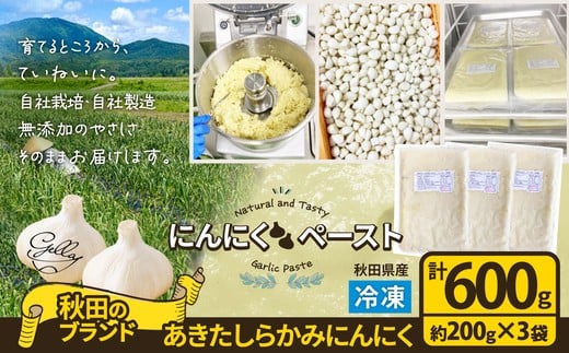 あきたしらかみにんにく 冷凍ペースト600g 40P3220　/ にんにく ニンニク 東北 秋田 大館 国産 薬味 スタミナ 野菜 お得 大容量 600g ペースト 冷凍 すりおろしにんにく おろしにんにく ガーリック ガーリックペースト 小分け 便利