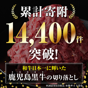 【A01040】鹿児島黒牛 切り落とし  計約1kg 約500g×2P 国産 黒毛和牛 牛肉 すきやき 切落し 【新村畜産】