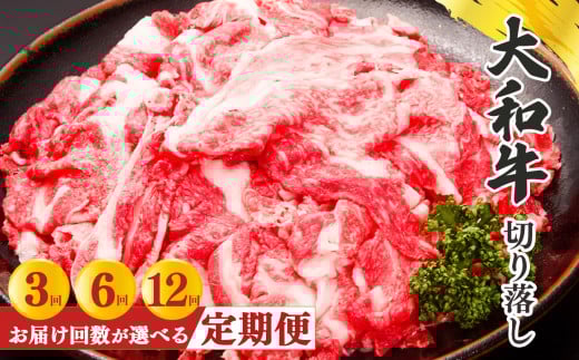 【定期便6回】奈良県産黒毛和牛 大和牛 切り落し 500g(250gx2) ｜ 肉 にく ニク お肉 牛肉 黒毛 和牛 赤身 国産 大和牛 切り落とし 冷凍 奈良県 五條市