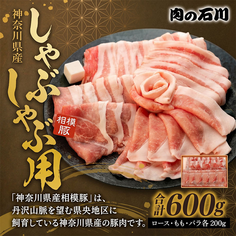 【ふるさと納税】 豚肉 神奈川県産 相模豚 しゃぶしゃぶ用 600g ロース もも バラ ( 各 200g × 3 ) 食べ比べ 豚ロース 豚バラ 豚もも しゃぶしゃぶ 豚しゃぶ 豚 肉 にく 夕食 晩ごはん 贅沢 人気 お取り寄せ 贈り物 株式会社 泰平 湘南 神奈川県 平塚市 お肉 鍋用 お祝い