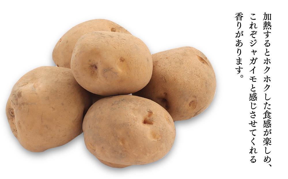 【先行予約　2025年発送】“ホクホク”男爵いも4kg・“甘みたっぷり”玉ねぎ4kg★8kgセット★ 【 じゃがいも 芋 玉葱 野菜 産地直送 旬 お取り寄せ 詰め合わせ 旭川市 北海道 】 _047