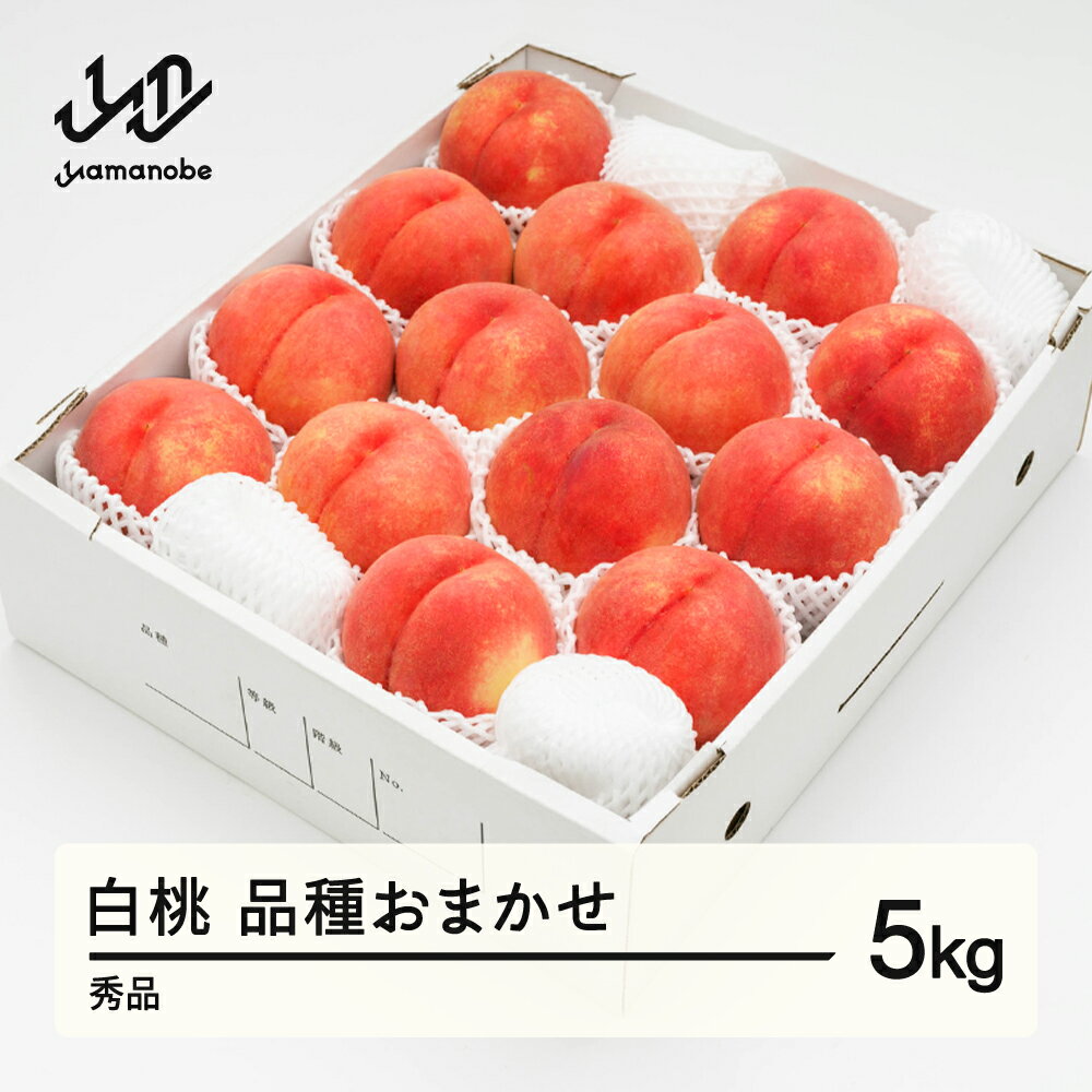 【ふるさと納税】【先行予約】 もも 白桃 秀品 品種おまかせ 化粧箱入り 約5kg 令和8年産 2026年産 山形県産 果物 送料無料 ns-mohtx5※沖縄・離島への配送不可