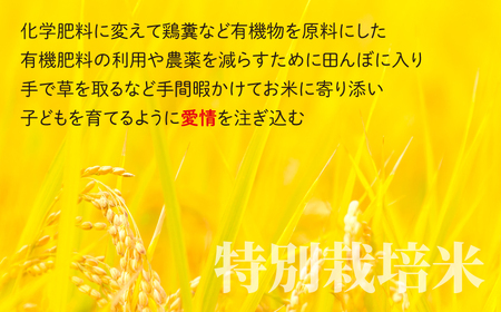 地球にやさしいパックご飯 10食入り【玄米】　減農薬・減化学肥料 「特別栽培米」－地球にやさしいお米－