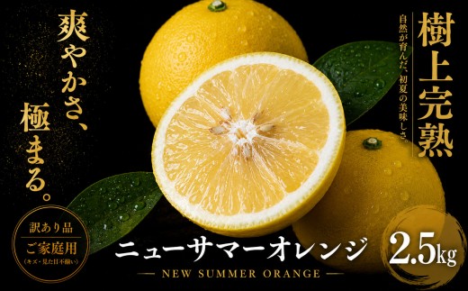 ＜涼やかな柑橘 愛媛県産ニューサマーオレンジ 合計約2.5kg＞『2027年4月中旬～5月中旬迄に順次出荷予定』訳あり ミカン 蜜柑 ご家庭用 果汁 果物 くだもの フルーツ オレンジ 柑橘 人気柑橘 特産品 極尽道 愛媛県 西予市 【常温】