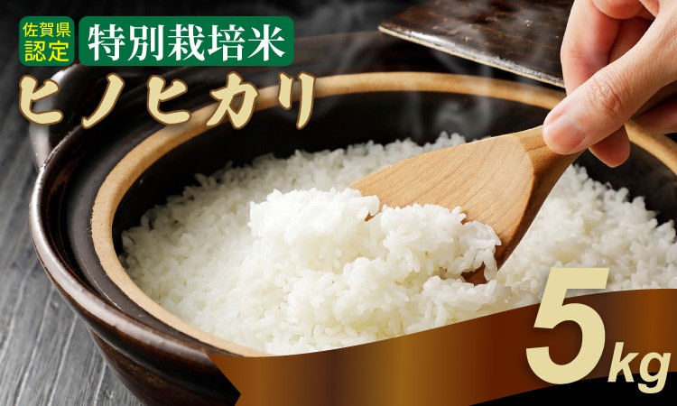 
                  令和7年度産 佐賀県認定 特別栽培米  ヒノヒカリ　5㎏　しもむら農園
                