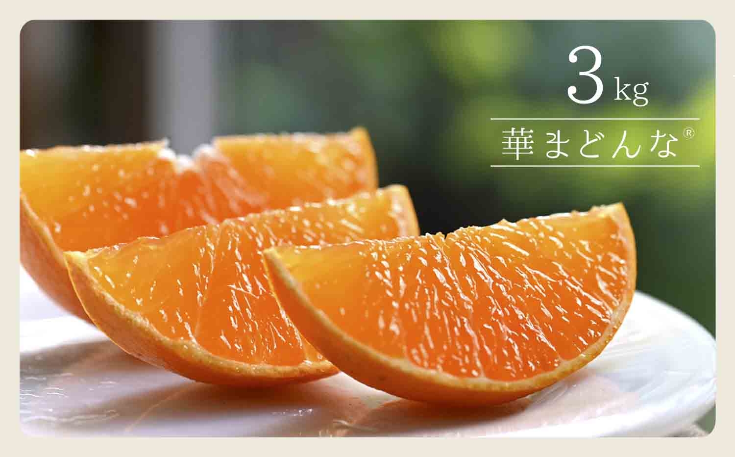 
                  コウ果樹園「華まどんな」3kg＜D33-22＞_みかん ミカン 柑橘 マドンナ まどんな 果物 くだもの フルーツ 甘い 希少 ぷるぷる 果樹園 愛媛 ゼリーみたい デザート 愛媛みかん 密柑 美味 人気 おすすめ 送料無料【1051536】 YWTG008
                