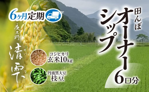 ＜令和7年10月中旬より発送！＞【6ヶ月定期】田んぼオーナーシップ6口分　清雫　玄米10kg+黒ムラサキ（丹波黒大豆の枝豆）/ ふるさと納税 田んぼ オーナー制度 米 玄米 令和7年度産  先行 定期 10kg 6回 収穫 夜久野 京都 京都府 福知山 FCDB007