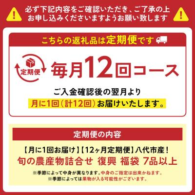 ふるさと納税 八代市 【定期便12回】八代市産!旬の農産物詰合せ 復興 福袋 7品以上_065-4147-C |  | 01
