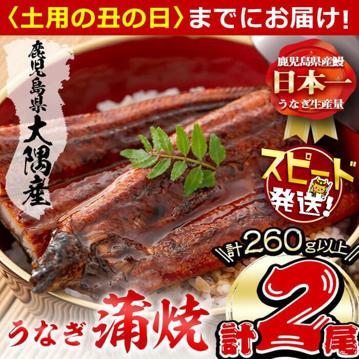 【ふるさと納税】楠田の極うなぎ蒲焼き130g以上×2尾(計260g以上) 山椒付たれ 鰻 ウナギ 蒲焼 うな重 ひつまぶし 鹿児島 冷凍 おかず お祝い【楠田淡水】a4-093