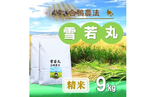 【令和7年産・精米】ecofarmすがわらの合鴨農法雪若丸9kg※10月下旬頃から順次配送