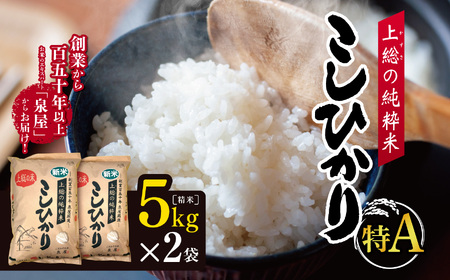 【 上総の純粋米 】 精米 令和7年産 厳選 千葉県産 コシヒカリ 10kg（5kg×2袋） | 泉屋
